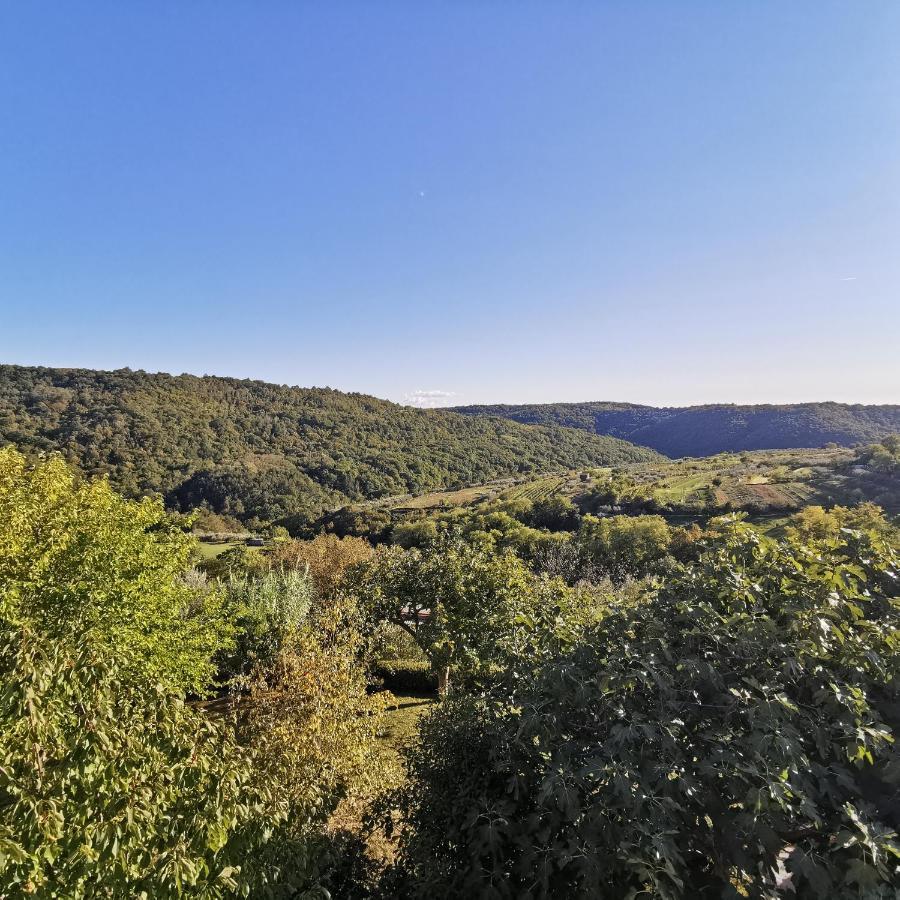 Apartament Apartma Zan Šmarje Zewnętrze zdjęcie